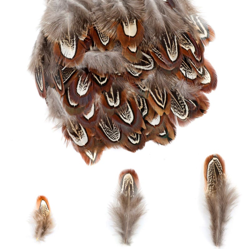 MWOOT 300PCS Spotted Chicken Feathers Natural Pheasant Plumage Feathers for DIY Crafts, Clothing, Jewelry, Wedding, Birthday Party, Dream Catcher Decoration - Image 5